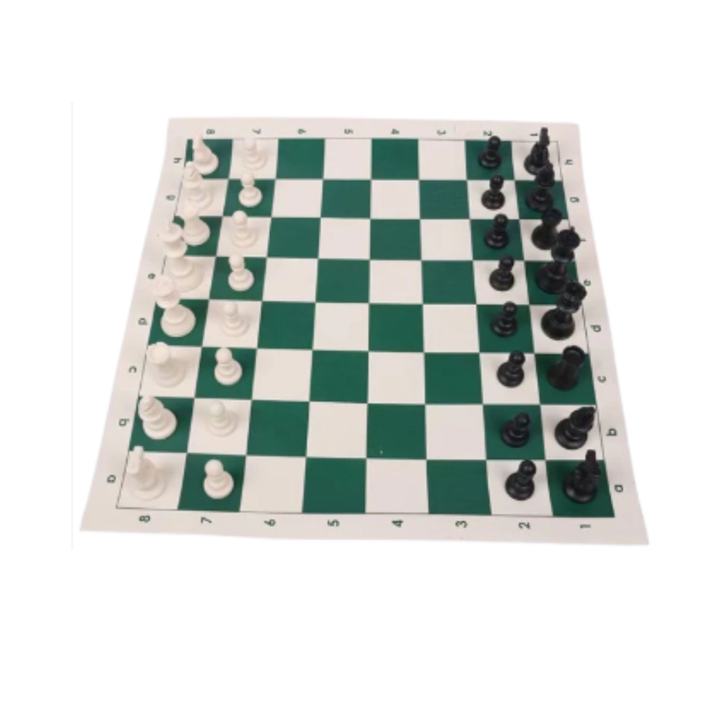 JUEGO DE AJEDREZ (SIN CAJA)